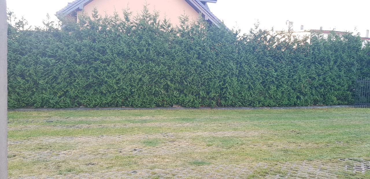 Pokoje Goscinne Pryzmat Władysławowo Esterno foto